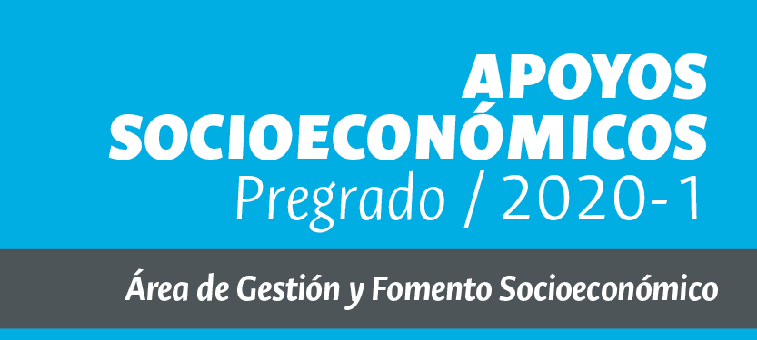 005 Convocatoria apoyos socioeconómicos estudiantes pregrado 2020-I