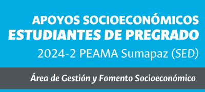 Apoyos socioeconómicos estudiantiles pregrado – Sede Bogotá PEAMA Sumapaz (SED)