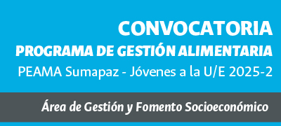Convocatoria Pública DGFSE SMPZ JU/JE 2025-2
